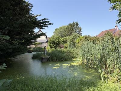Picture 30